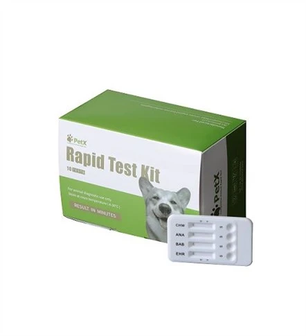 Test rapide d'antigène du ver du cœur canin (CHW Ag)