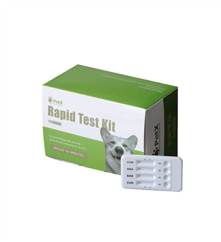 Test rapide vétérinaire d'antigène du virus de la grippe canine