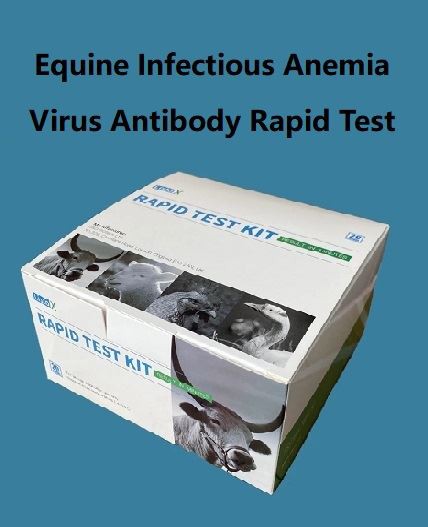 Test rapide d'anticorps contre le virus de l'anémie infectieuse équine